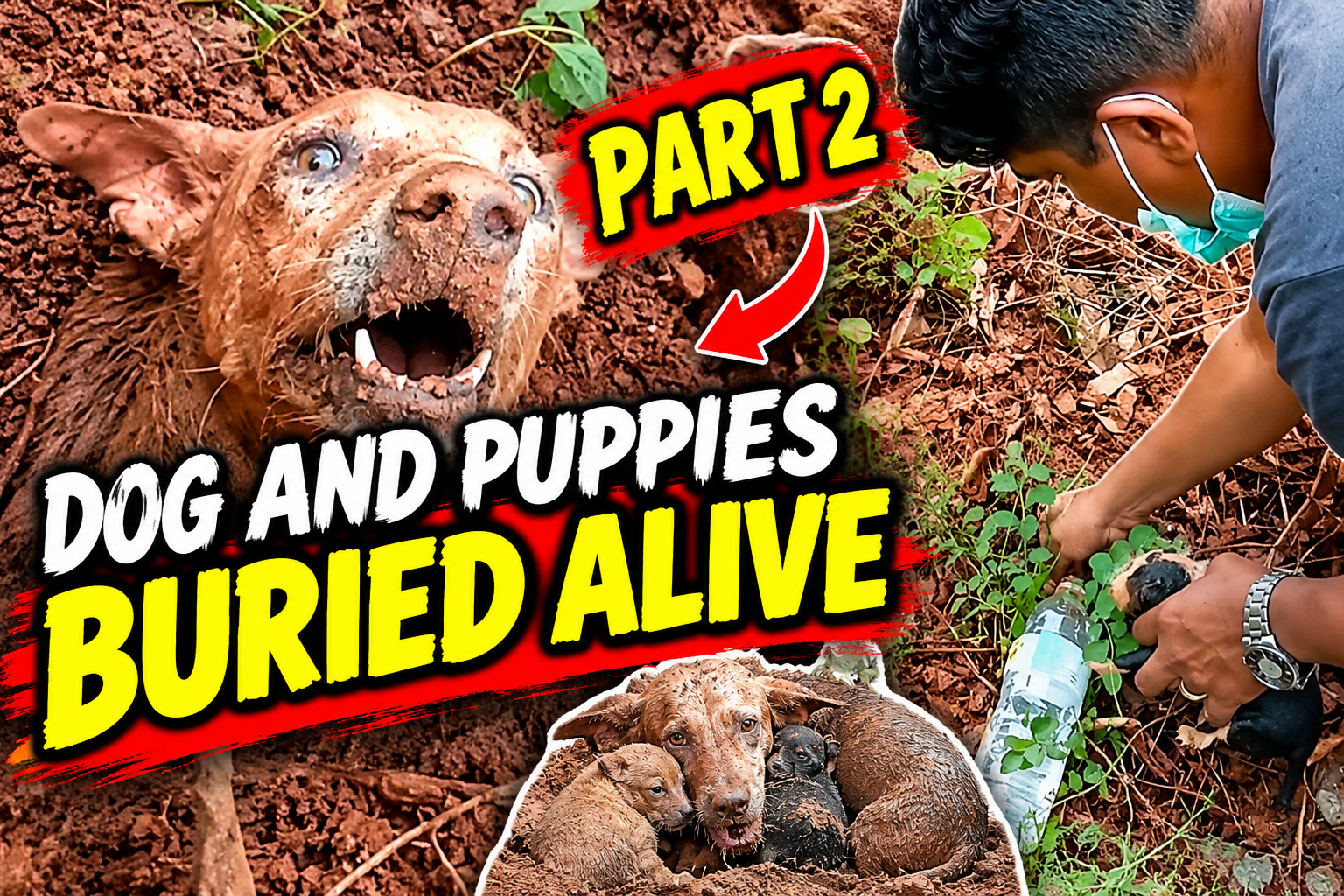 Dog and Puppies Buried Alive — The Rescue That Gave Them a Second Chance | PART 2